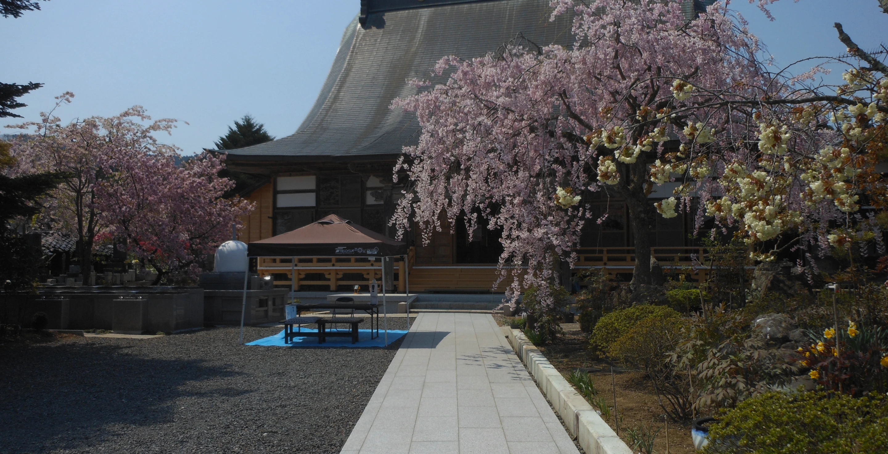 メインヴィジュアル